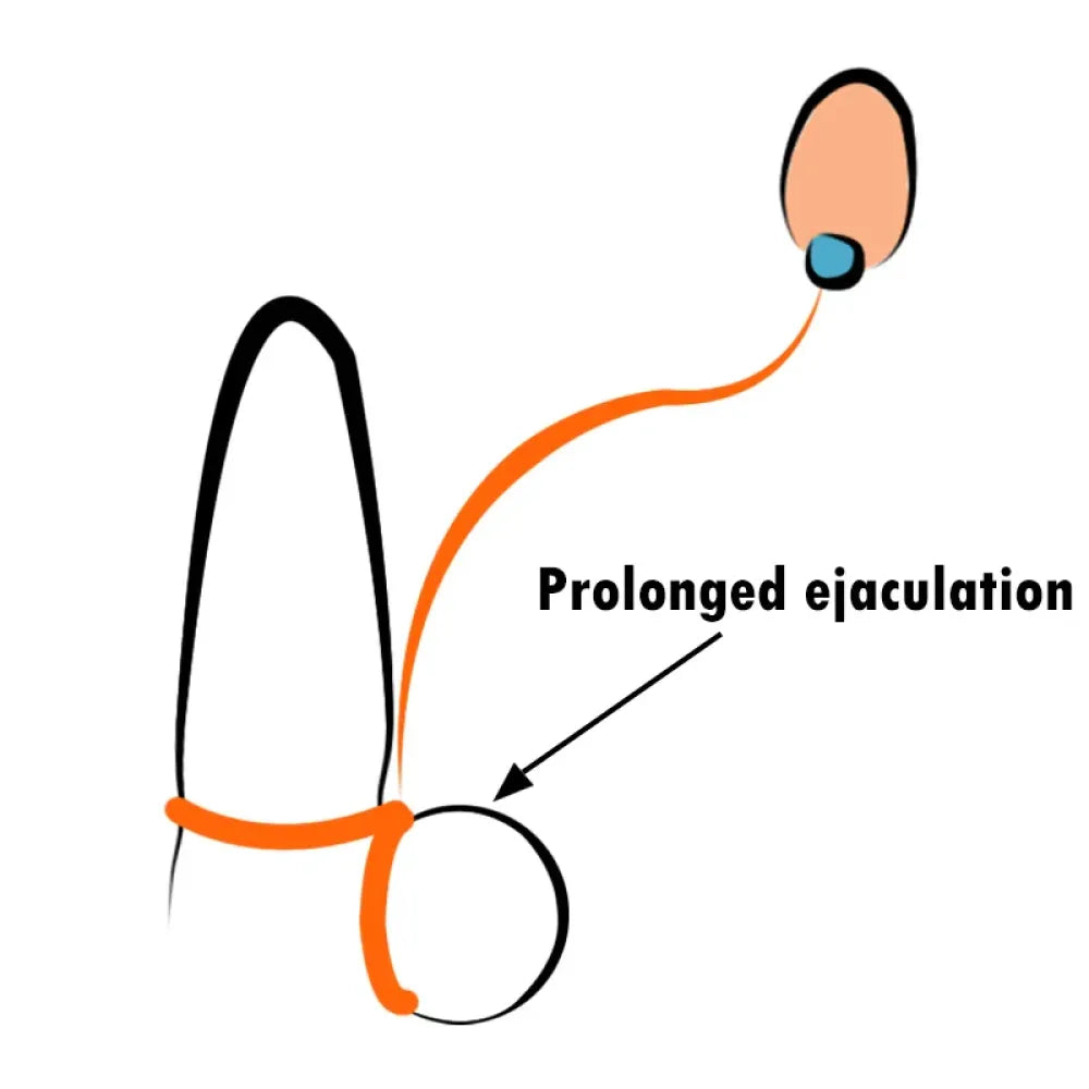 Bullet Vibrator Penis Rings G Spot Massager for Couples Male Extension-3