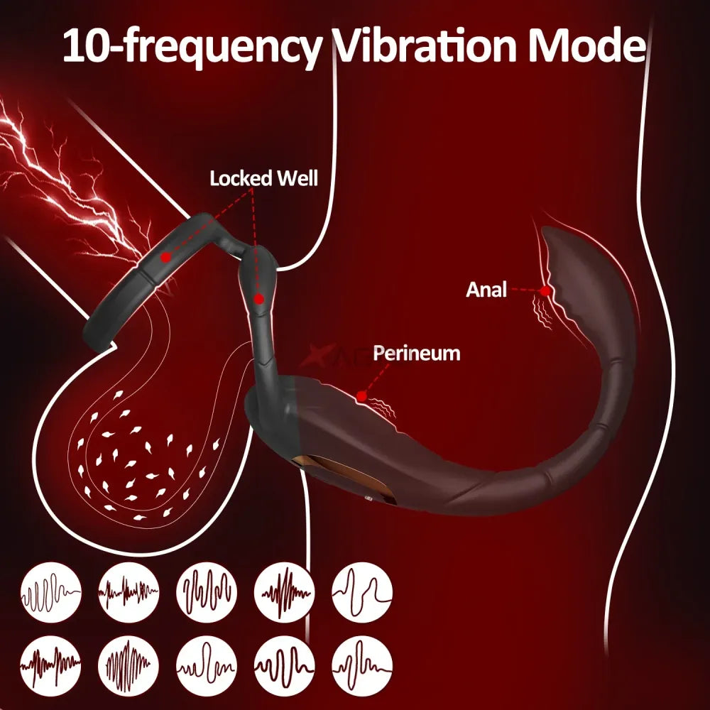 Double Ring Prostate Vibrator for Men - Delay Ejaculation-1