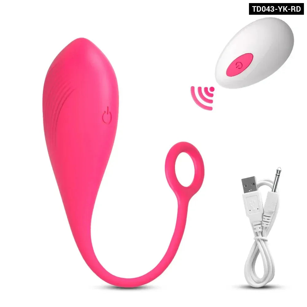 Remote Control Wearable Panties Vibrator Vibrating Egg for Couples-12